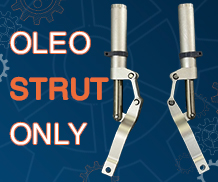 OLEO STRUT ONLY